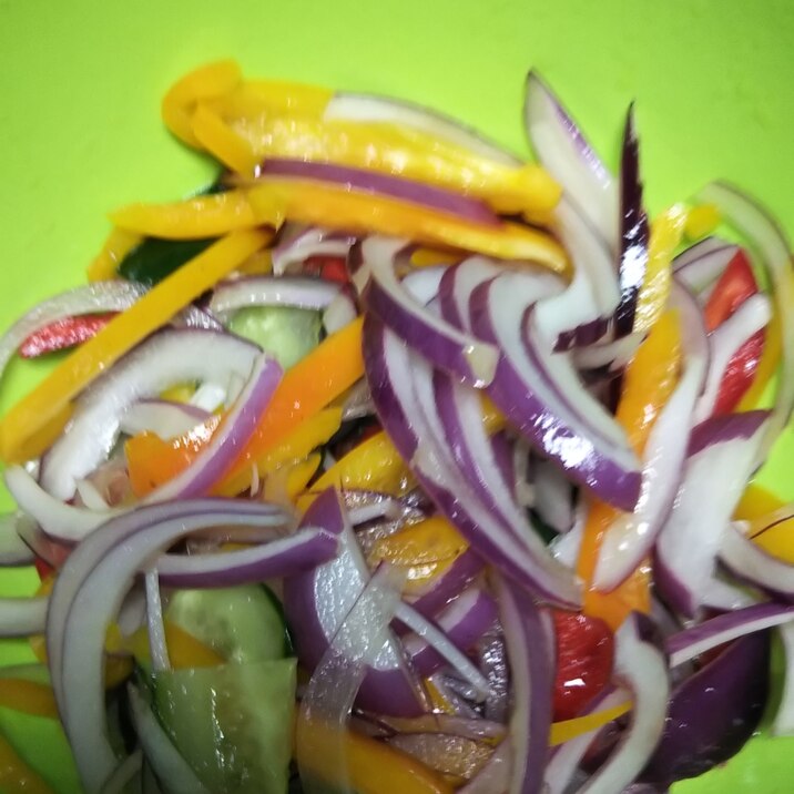 彩り野菜のサッパリサラダ